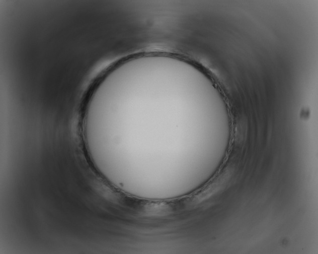 X0000103931454200809261652