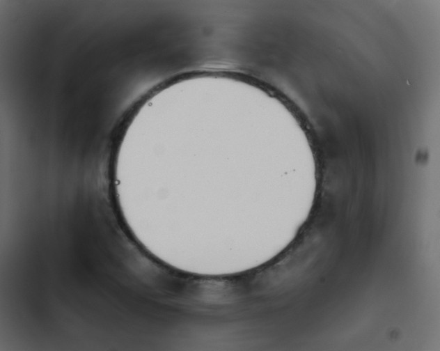 X0000103931456200809261652