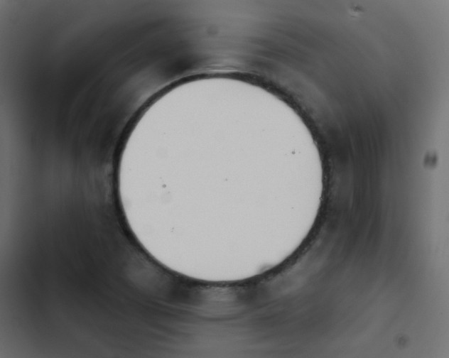 X0000103931457200809261652