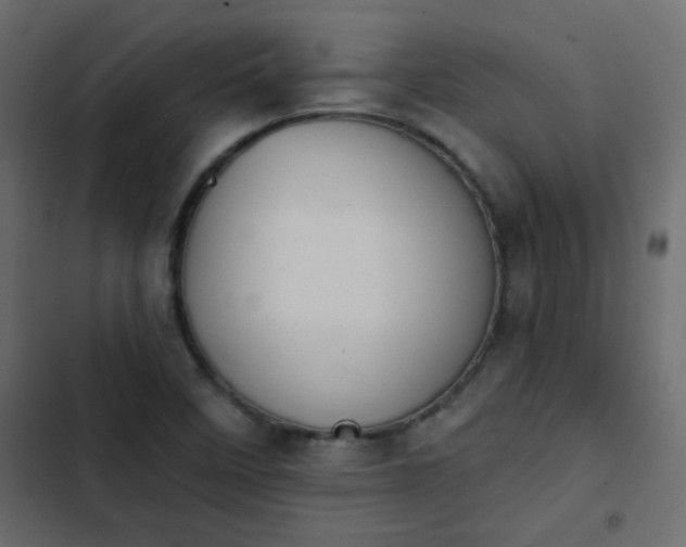 X0000103931458200809261652