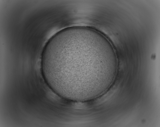 X0000103931459200809261652