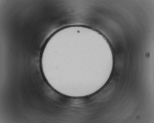 X0000103931460200809261652