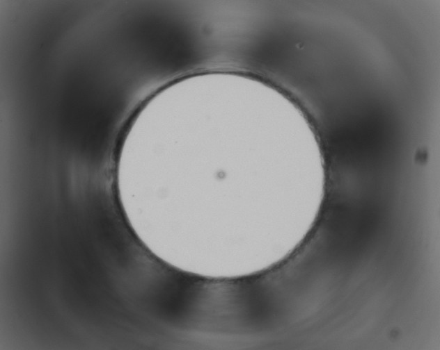 X0000103931461200809261652