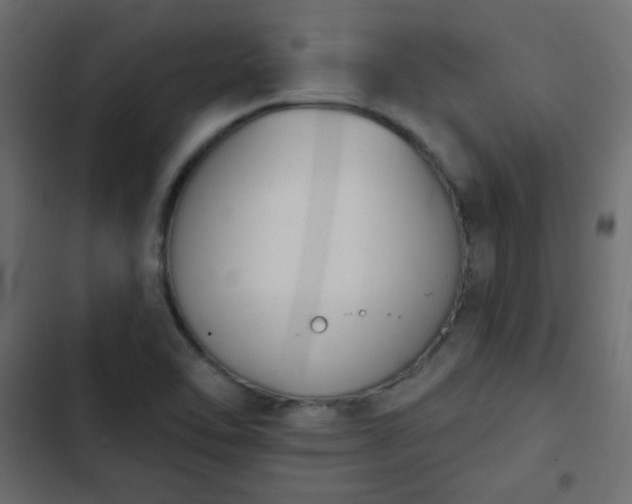 X0000103931462200809261652