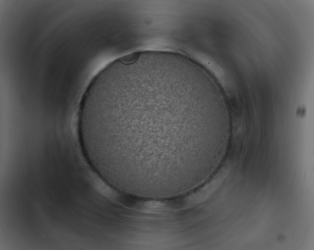 X0000103931463200809261652