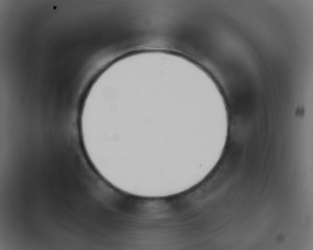 X0000103931464200809261652