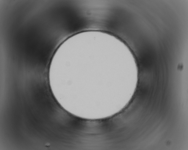 X0000103931465200809261652