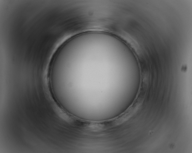 X0000103931466200809261652
