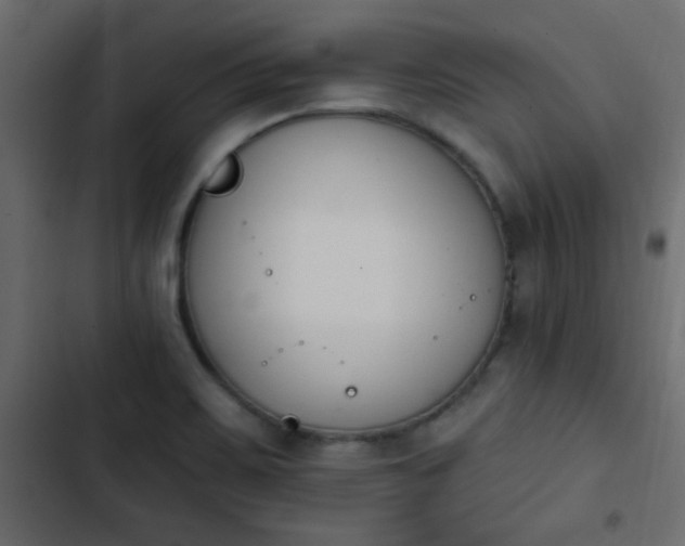 X0000103931467200809261652