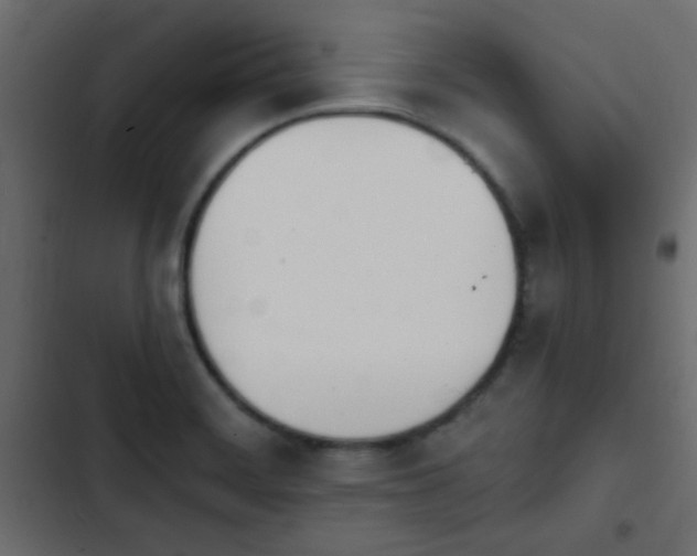 X0000103931468200809261652
