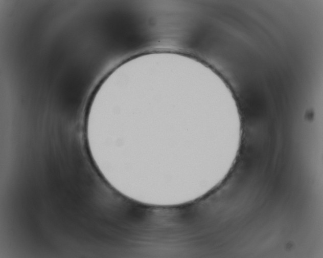 X0000103931469200809261652