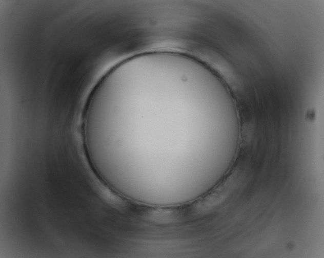 X0000103931470200809261652