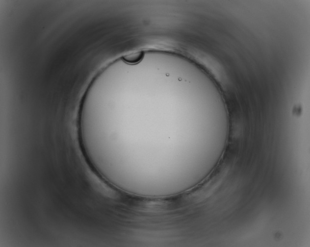 X0000103931471200809261652