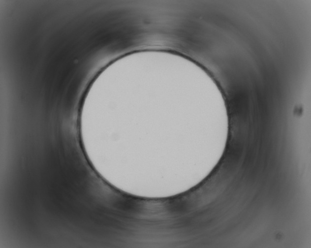 X0000103931472200809261652