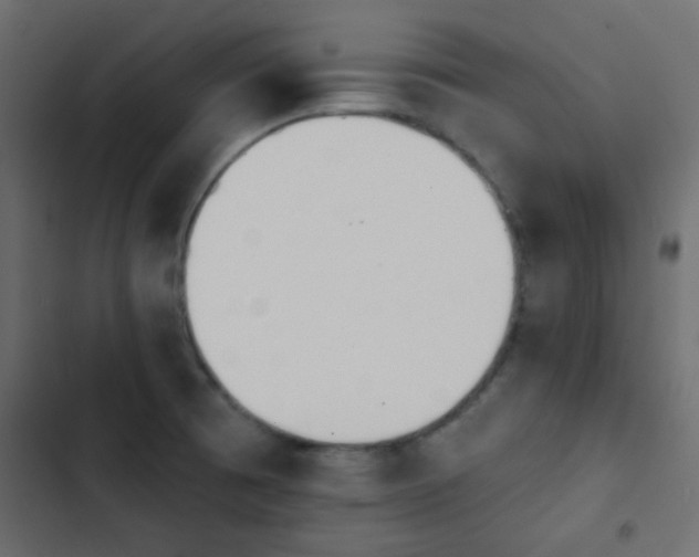 X0000103931473200809261652
