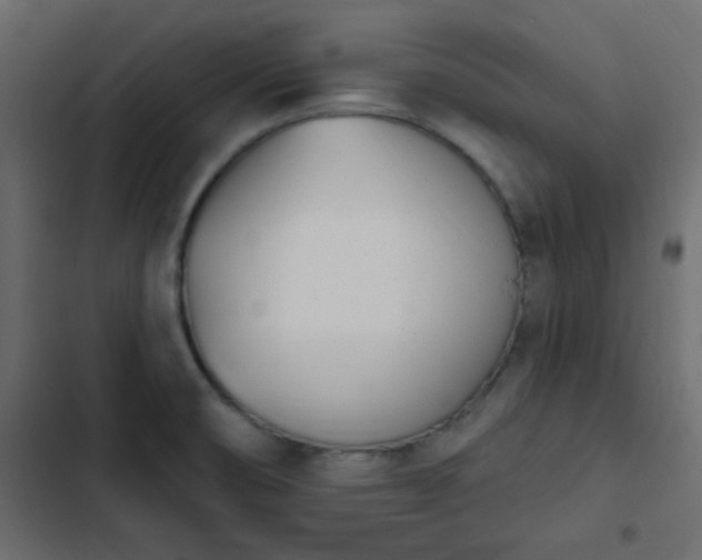 X0000103931474200809261652