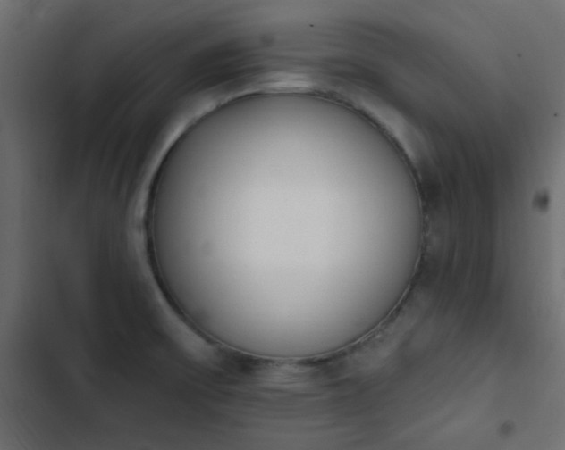 X0000103931475200809261652