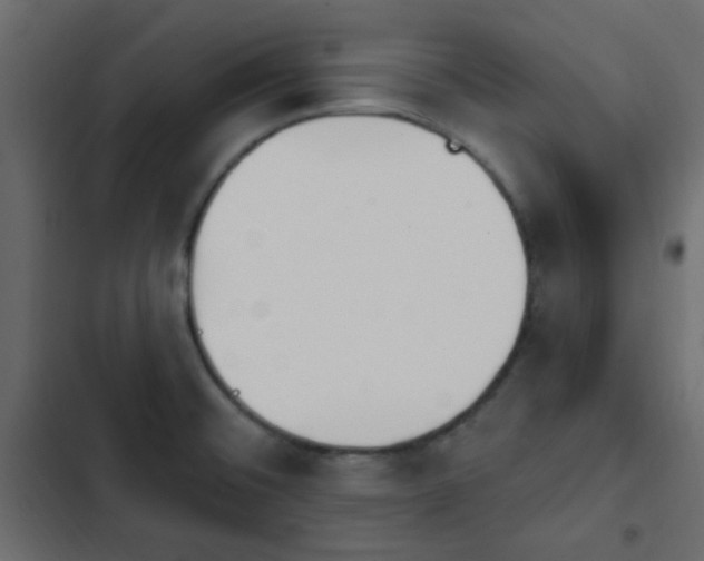 X0000103931476200809261652