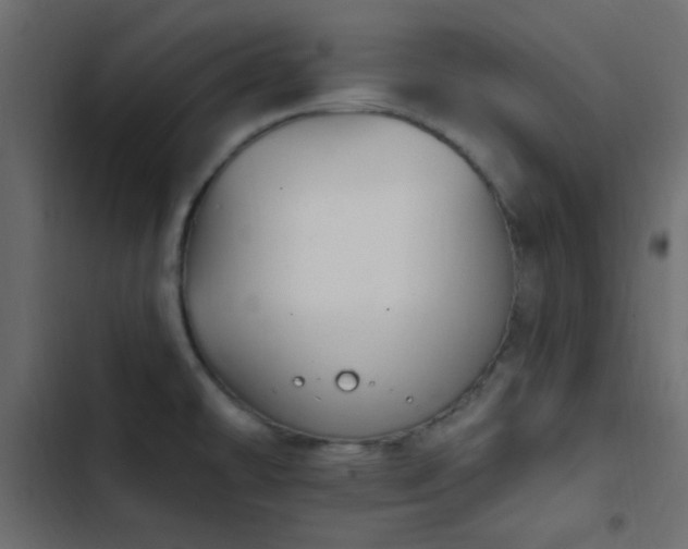 X0000103931478200809261652