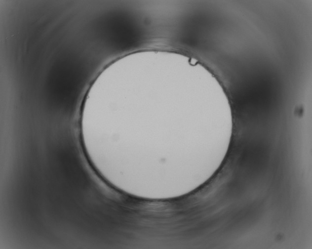 X0000103931479200809261652