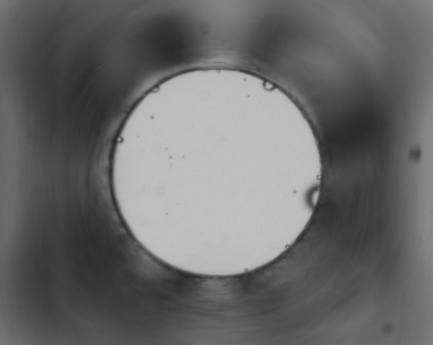 X0000103931480200809261652