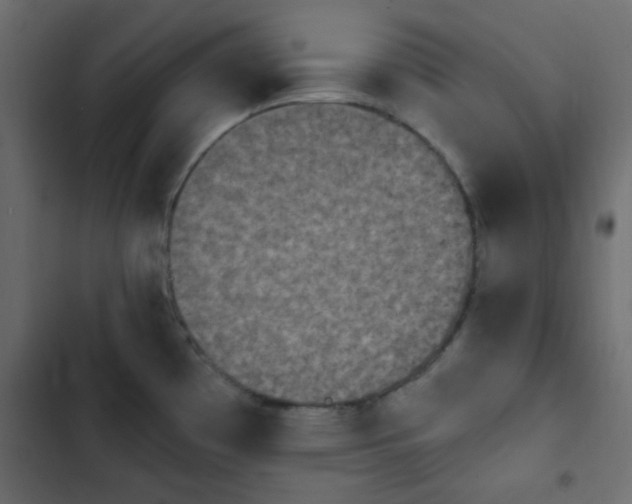X0000103931481200809261652