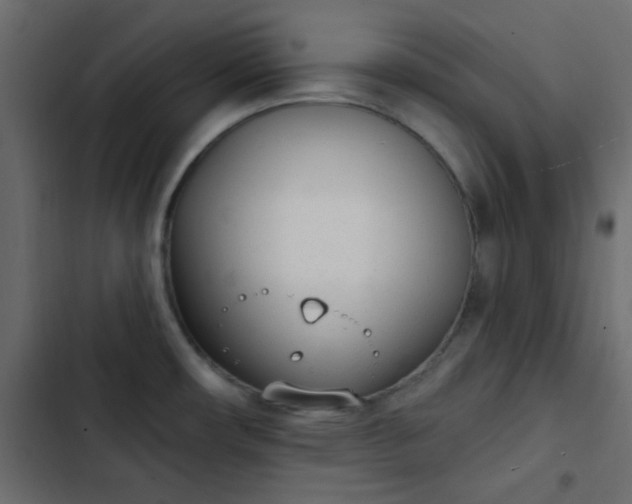 X0000103931482200809261652