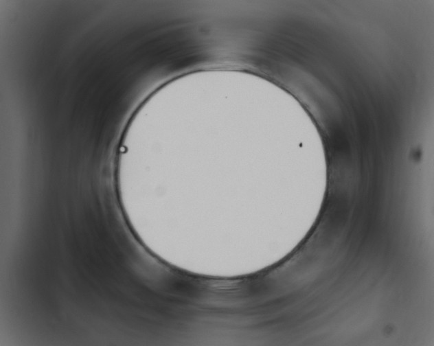 X0000103931484200809261652