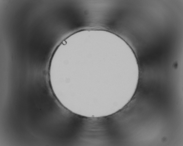 X0000103931485200809261652