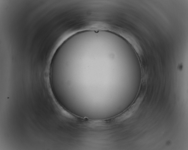 X0000103931486200809261652