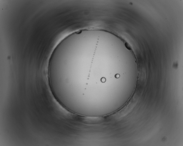 X0000103931487200809261652
