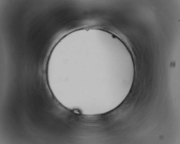 X0000103931488200809261652