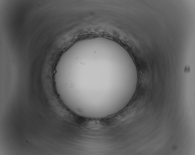 X0000103931489200809261651