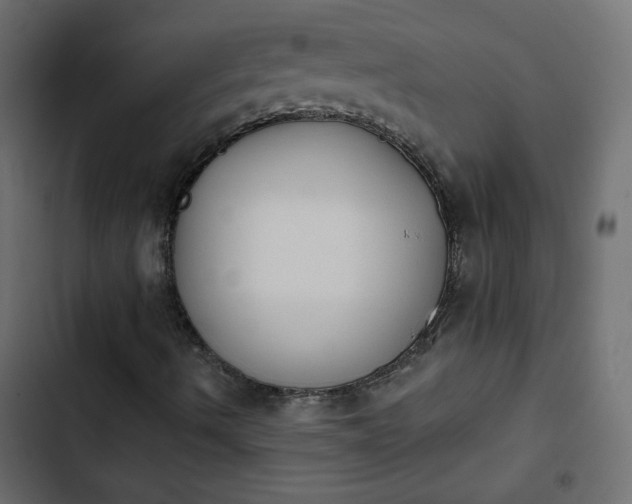 X0000103931490200809261651