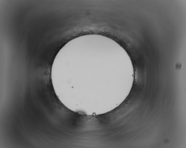 X0000103931492200809261651