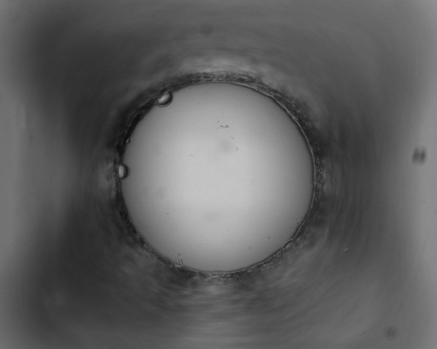 X0000103931493200809261651
