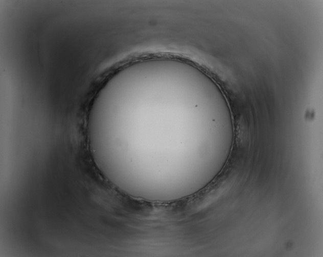 X0000103931494200809261651