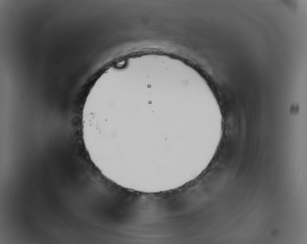 X0000103931496200809261651