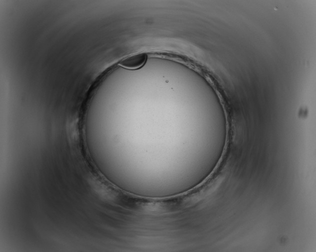 X0000103931497200809261651