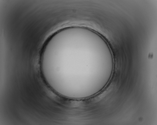X0000103931498200809261651