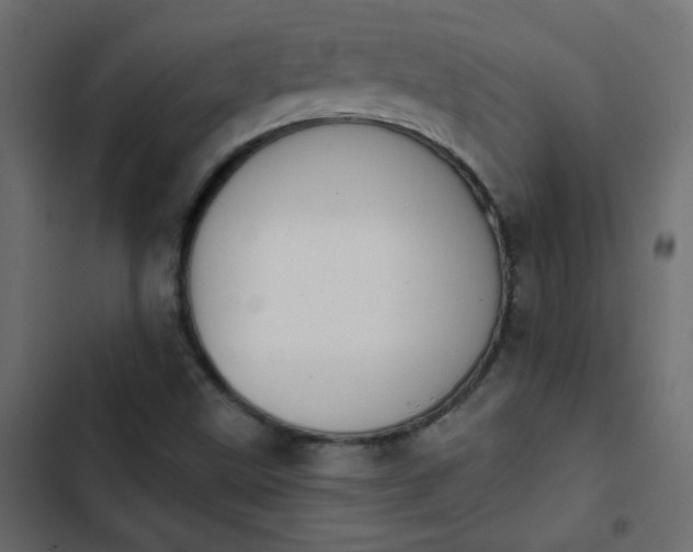 X0000103931499200809261651