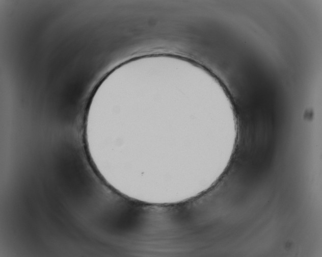 X0000103931500200809261651