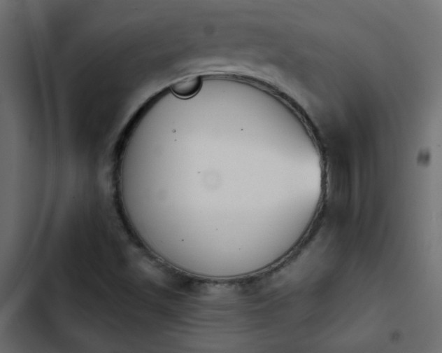X0000103931501200809261651