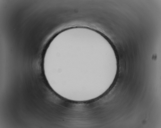 X0000103931502200809261651