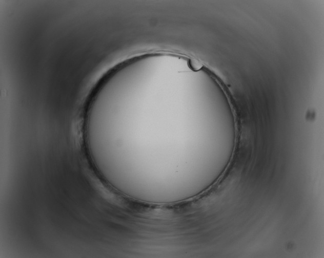 X0000103931503200809261652