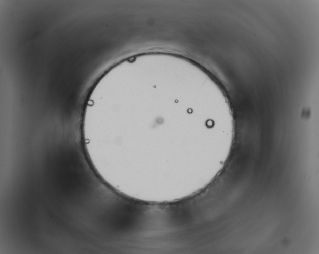 X0000103931504200809261652