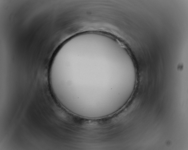 X0000103931505200809261652