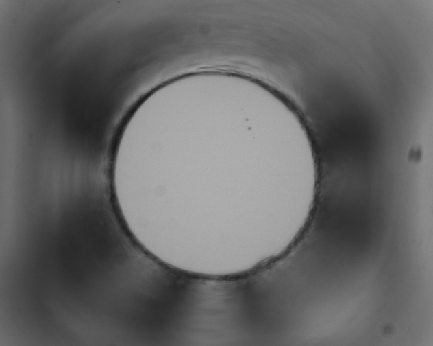 X0000103931506200809261652