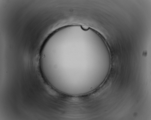 X0000103931507200809261652