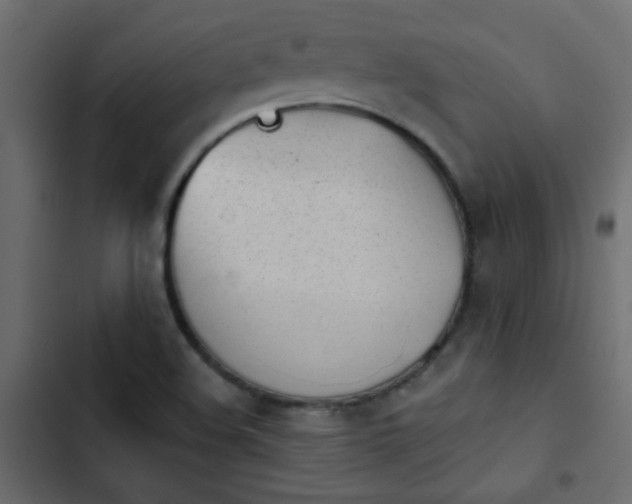 X0000103931508200809261652